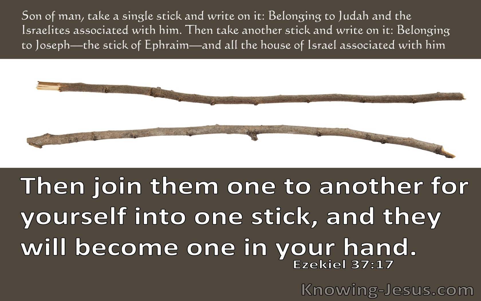 Ezekiel 37:17 Then Join Them For Yourself One To Another Into One Stick (brown)